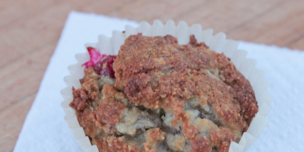 Banana Cranberry Muffins (2)_edit