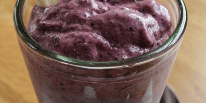 Blueberry Frozen Yogurt