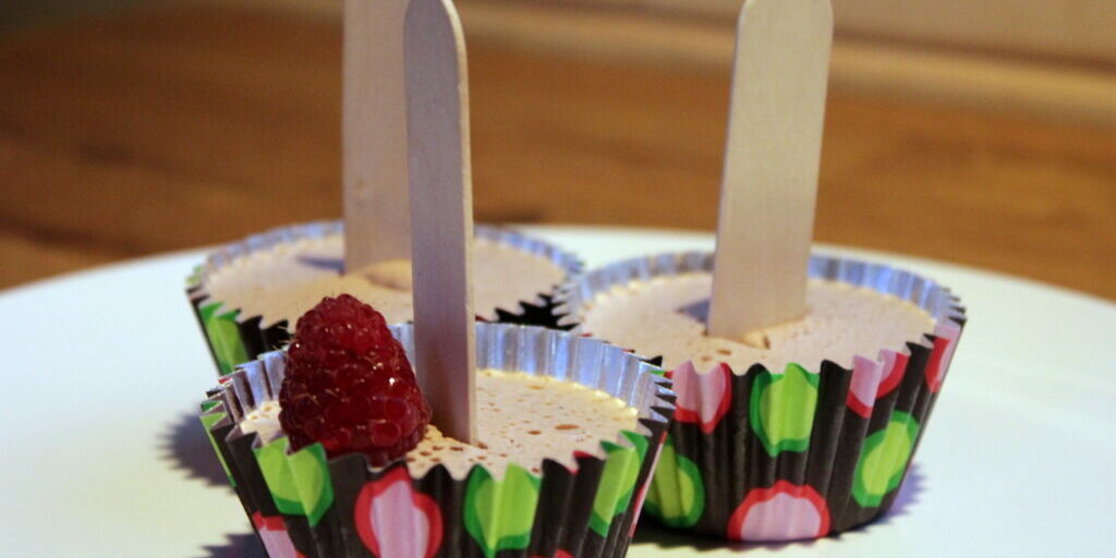 Cocoa-Coconut Popsicles