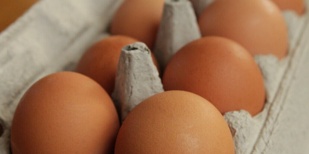 Brown Eggs